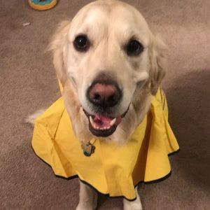 Meet your Posher, Kaitlyn